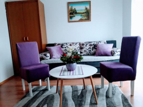 Apartman Jovanovic 2